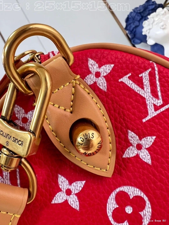 Cheap Louis SPEEDY 25 Vuitton 0808